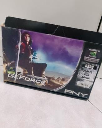 Scheda grafica Nvidia GeForce 6200