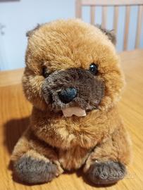 peluche castoro 15 cm