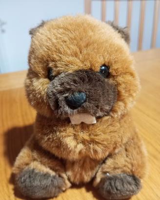 peluche castoro 15 cm