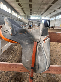 Sella spagnola real escuela