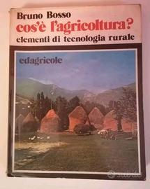 Libro Cos'è l'agricoltura?  