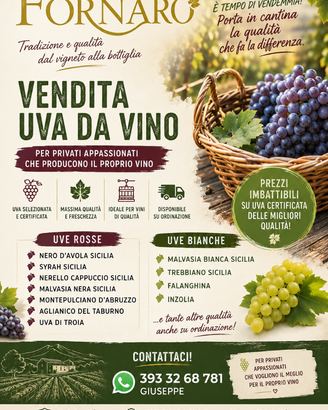 Uva da vino rossa e bianca – uve di qualità