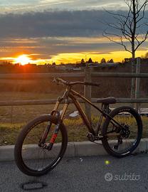 collective x1 (wheelie bike )