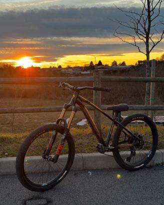 collective x1 (wheelie bike )