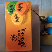 Insegna luminosa pubblicitaria