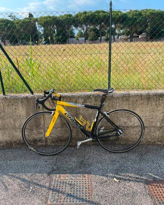 Bici da corsa