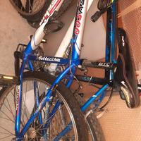 bottecchia 