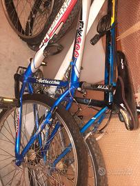 bottecchia 