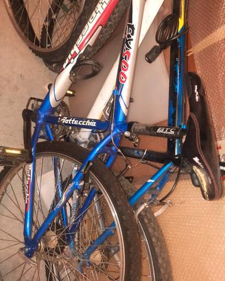 bottecchia 