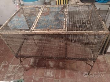 Gabbia per animali,galline o pulcini 