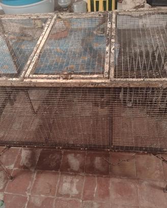 Gabbia per animali,galline o pulcini 