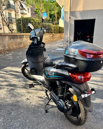 Bici elettrici Just-e 800 w