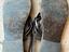 Immagine 6