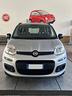 fiat-panda-1-2-easypower-pop