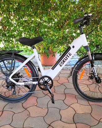 Bici elettrica ESKUTE POLLUNO PLUS