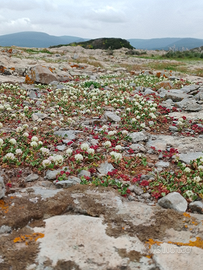Incanto di Casa immersa in Natura