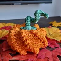 zucca 🎃 di halloween 