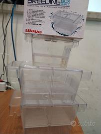 Sala parto per Poecilidi