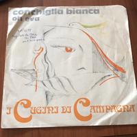 Vinile anno 1977, con custodia i cugini di campagn