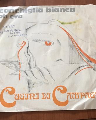 Vinile anno 1977, con custodia i cugini di campagn