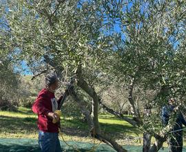 Terreno agricolo agrigento
