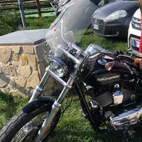 Parabrezza a sgancio rapido originale Harley David