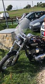 Parabrezza a sgancio rapido originale Harley David