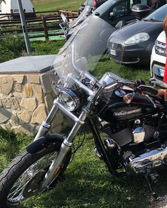 Parabrezza a sgancio rapido originale Harley David
