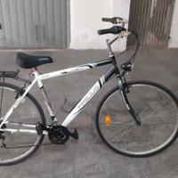bici da uomo 28 