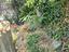 Immagine 19