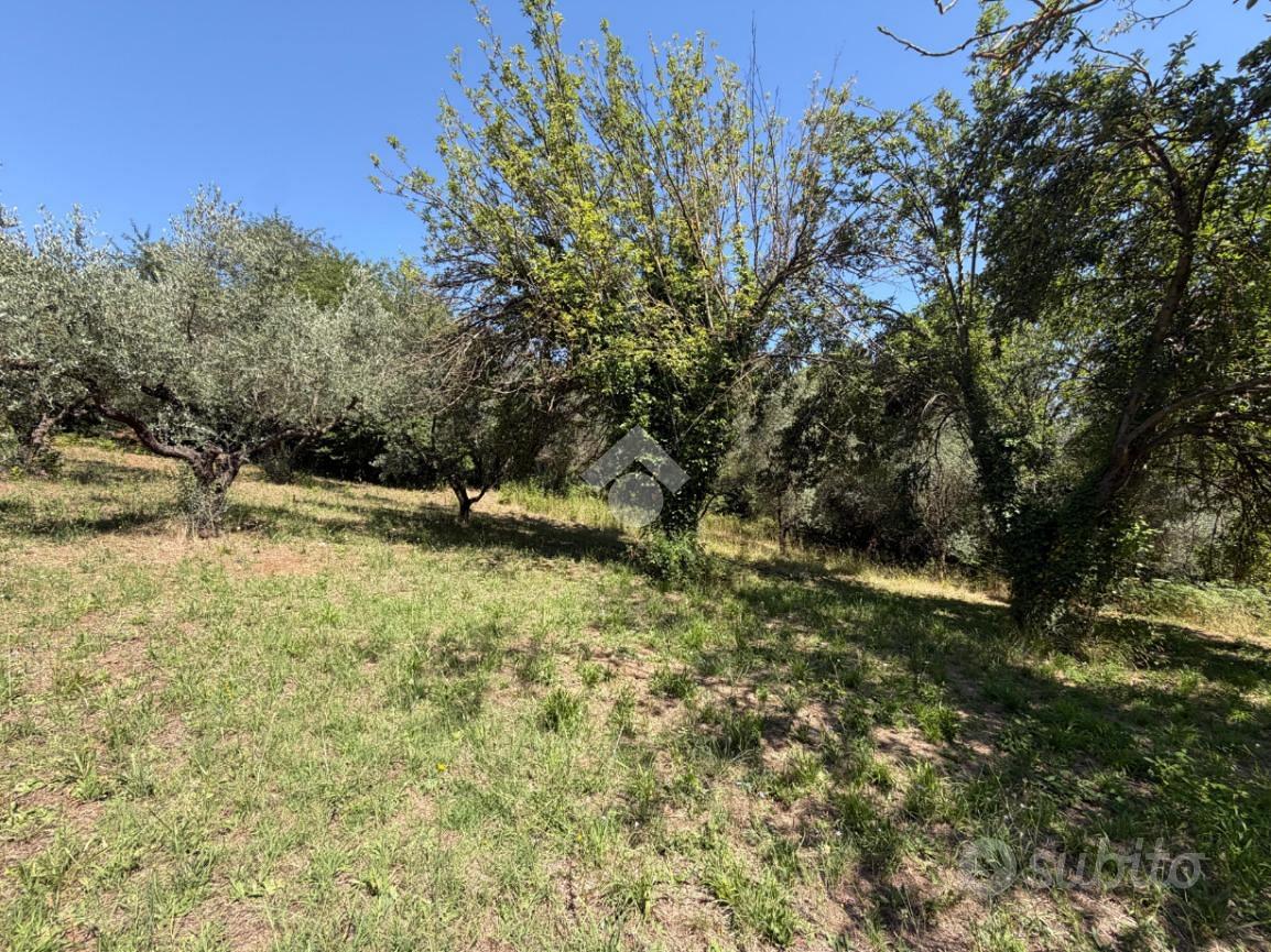TER. AGRICOLO A SAN CESAREO - Altro