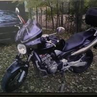 Honda Hornet 900 - 2005