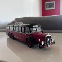 Modellini Autobus