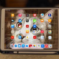 IPad Air 3rd gen + Apple pencil