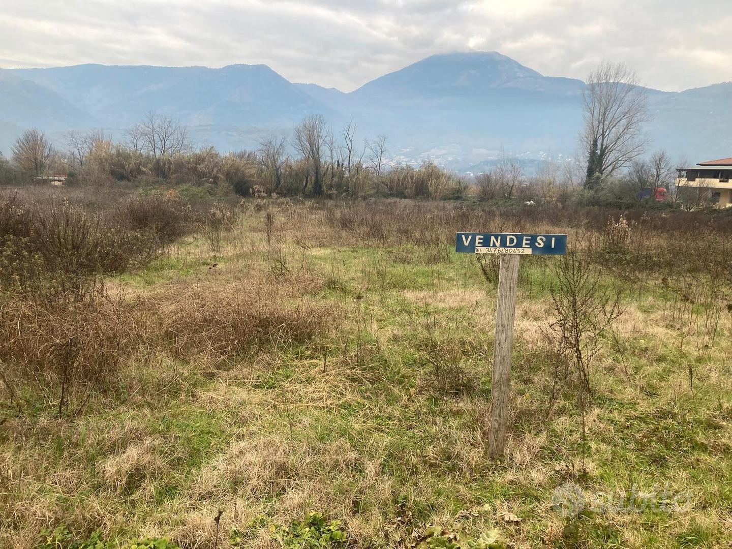 Terreno agricolo pianeggiante - Vista 5