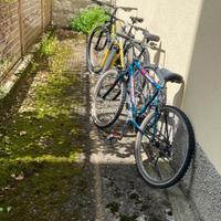 bicicletta 24"