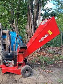 Biotrituratore a scoppio Geotech Pro GSP65L