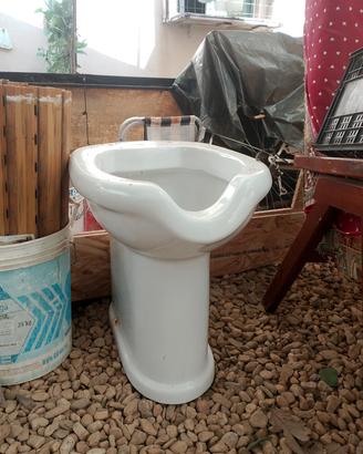 wc bagno disabili 