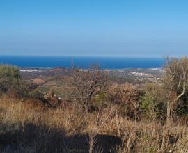 Budoni, terreno con casetta vista mare