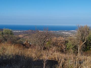 Budoni, terreno con casetta vista mare