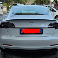 Tesla model 3 Performance 