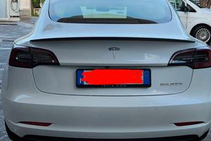 Tesla model 3 Performance 