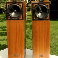 Casse acustiche Confluence Villanelle