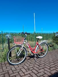 bicicletta 26 Pollici