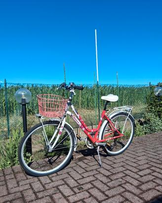 bicicletta 26 Pollici
