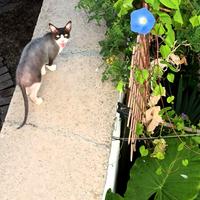 Una nuova famiglia per Nila