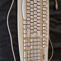 Tasteria PC ItalianaTrust bianca