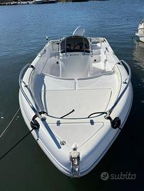 Ranieri shark 17
