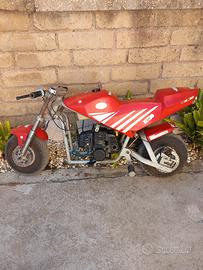 minimoto artigianale