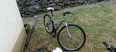  bici ragazzo è ragazza